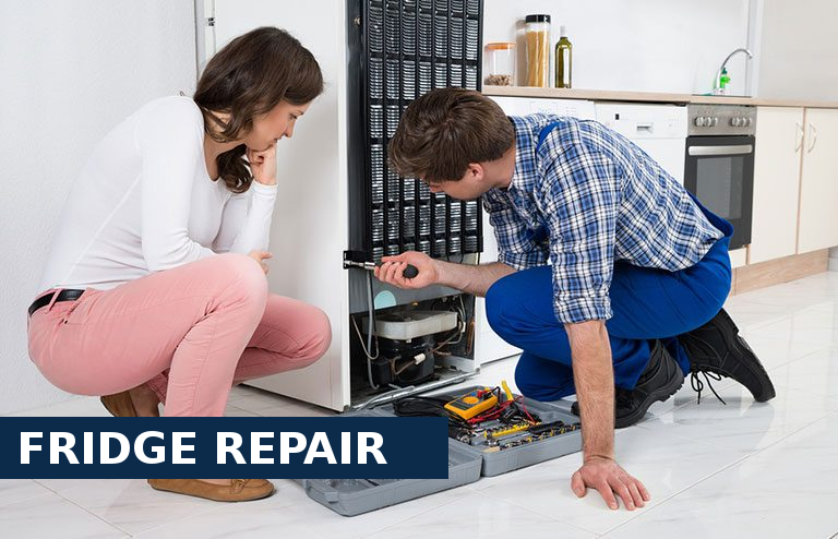 Fridge Repair Poplar